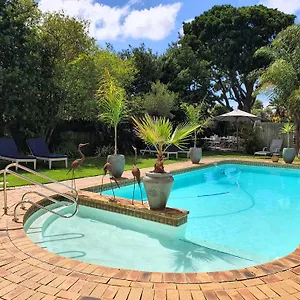 Wild Olive Cape Town